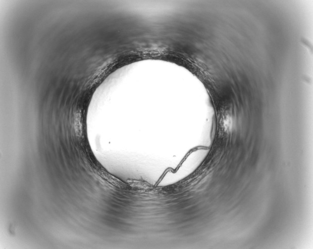 X0000093161252200710241013