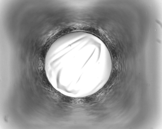 X0000093161253200710241013