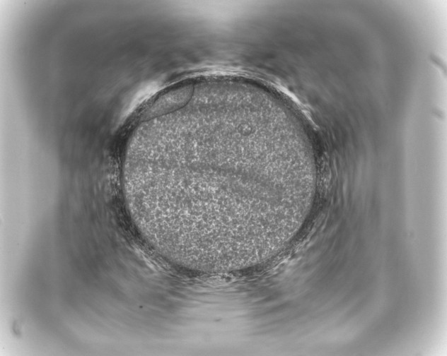 X0000093161255200710241013