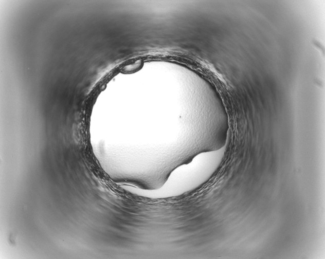 X0000093161256200710241013
