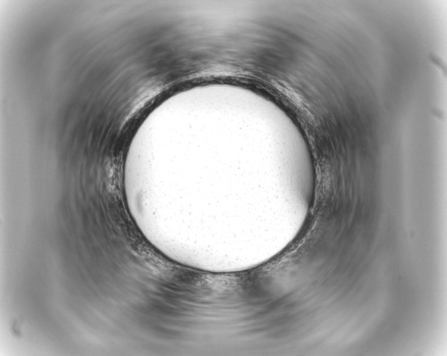 X0000093161258200710241013