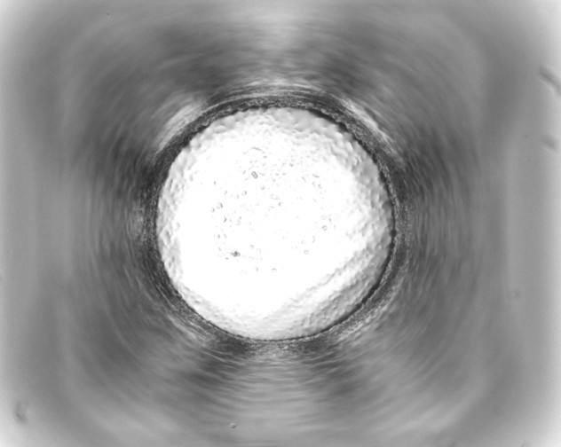 X0000093161259200710241013