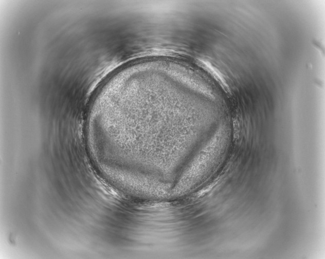 X0000093161260200710241013