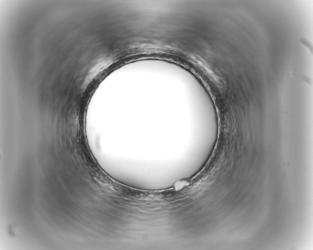 X0000093161261200710241013