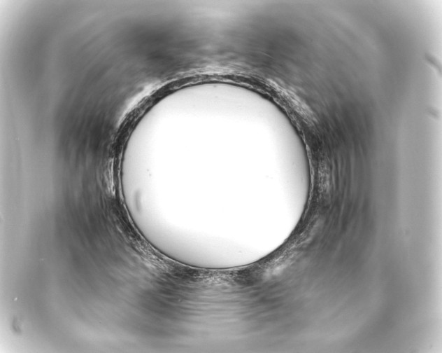 X0000093161262200710241013
