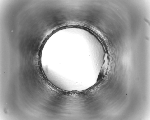 X0000093161264200710241013