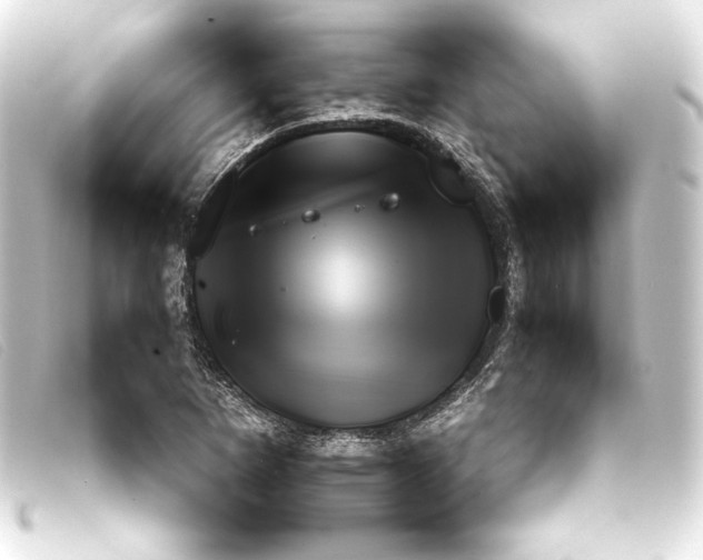 X0000093161265200710241013