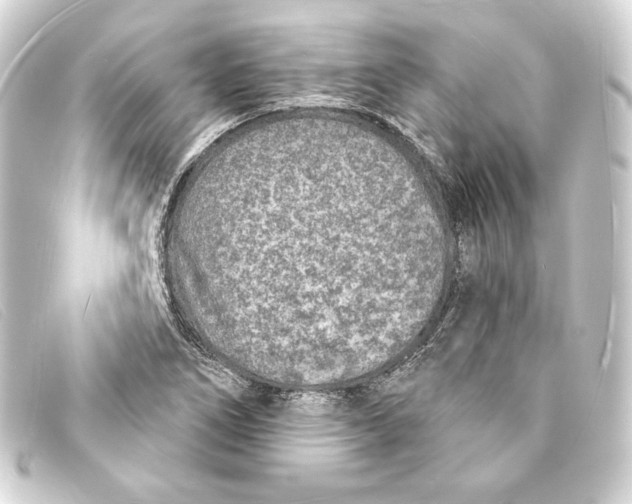 X0000093161266200710241013