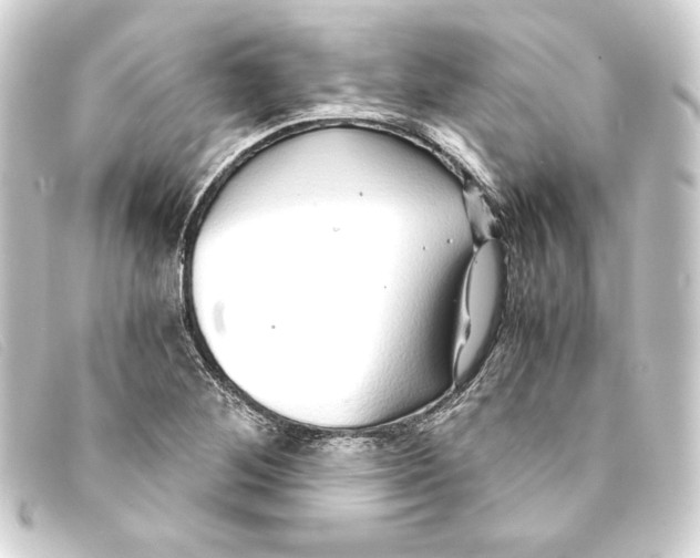 X0000093161268200710241013