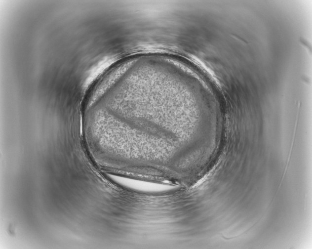 X0000093161269200710241013