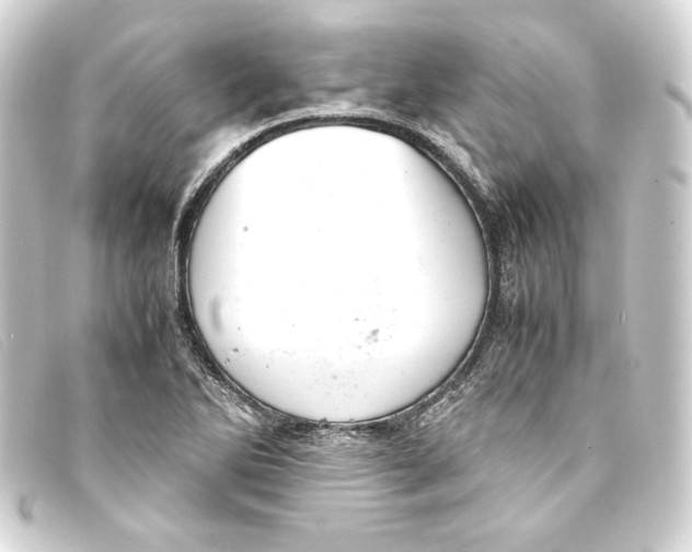 X0000093161270200710241013