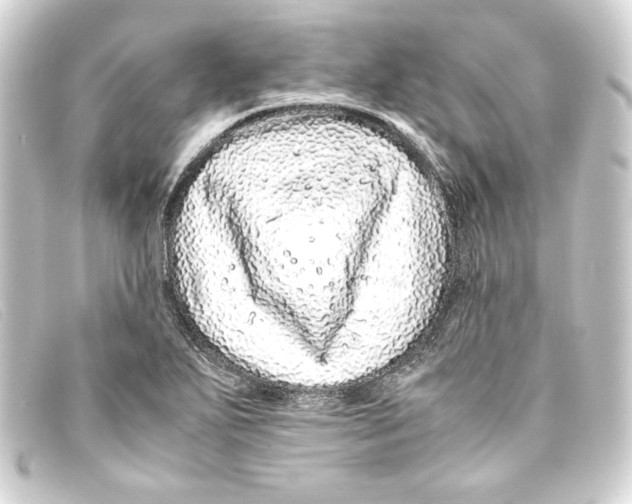 X0000093161271200710241013