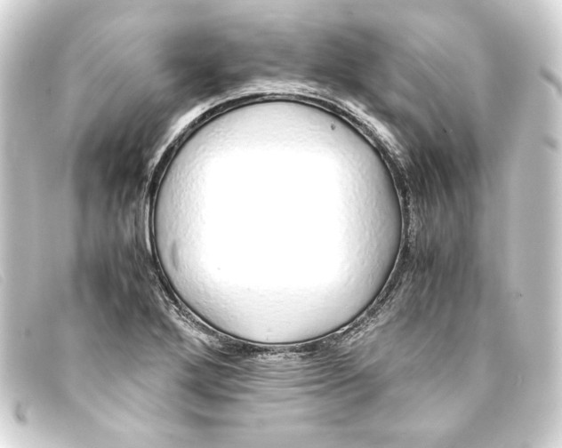 X0000093161272200710241013