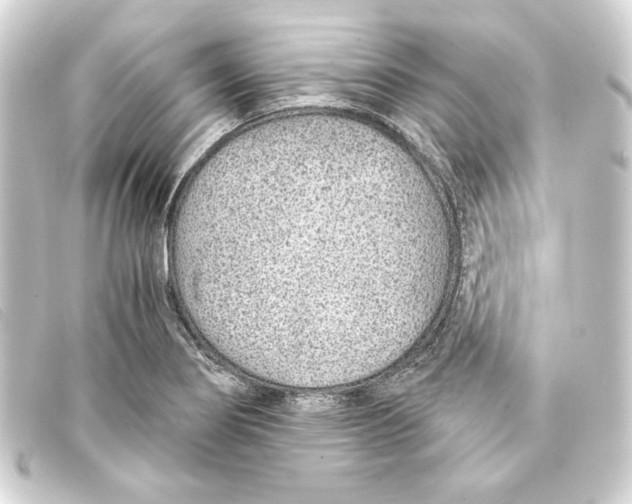 X0000093161274200710241013