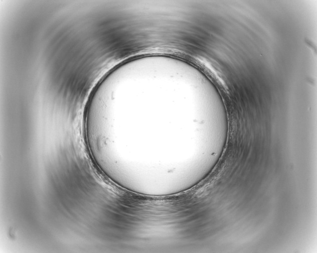 X0000093161276200710241013