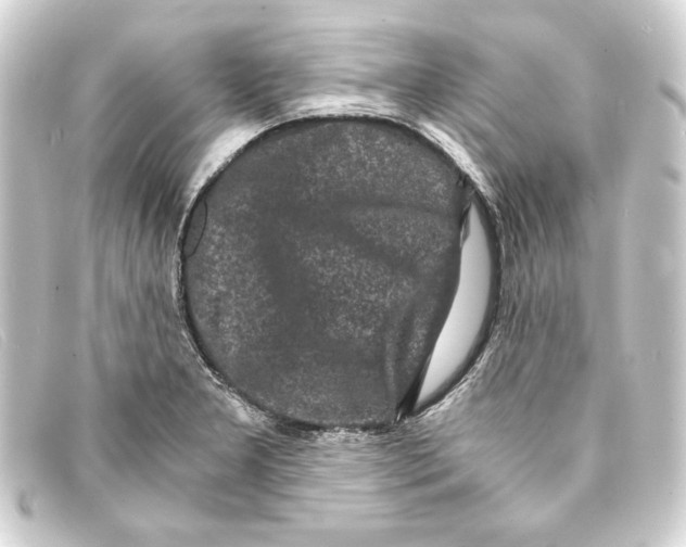 X0000093161277200710241013