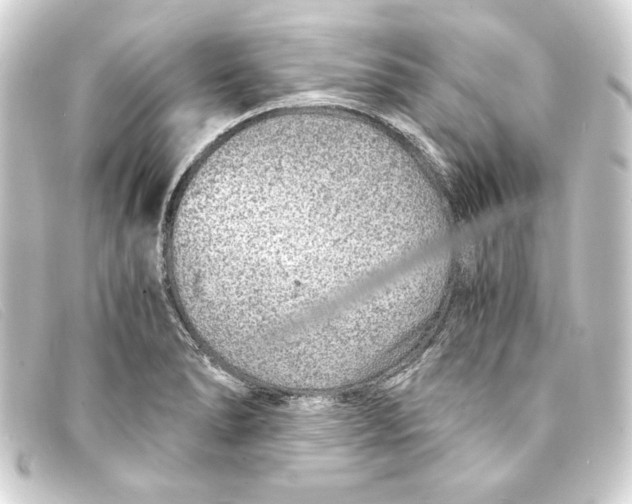 X0000093161278200710241013