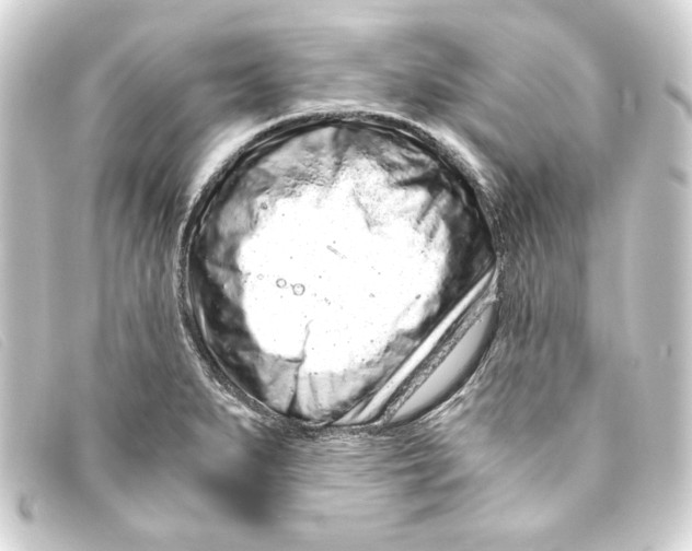 X0000093161279200710241013