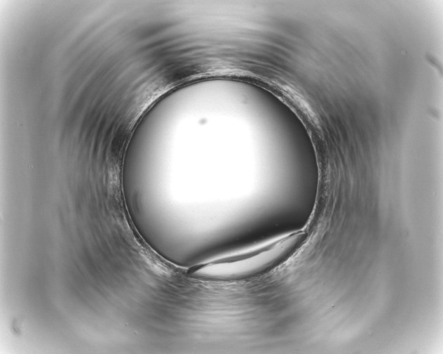 X0000093161281200710241013