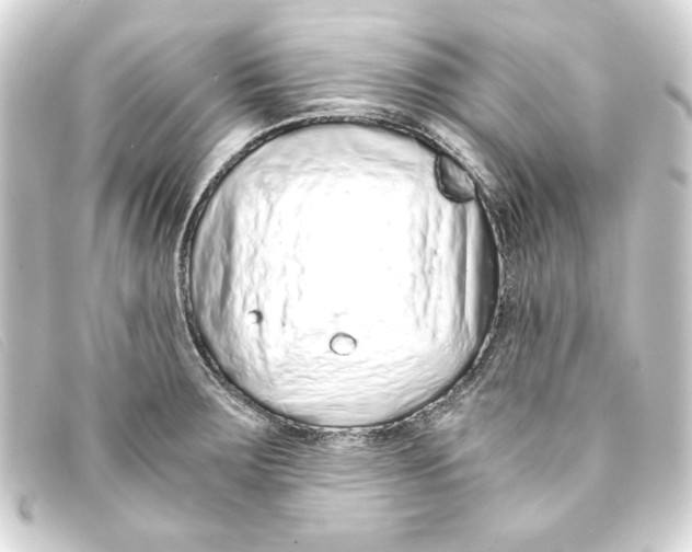 X0000093161283200710241013
