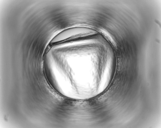 X0000093161284200710241013