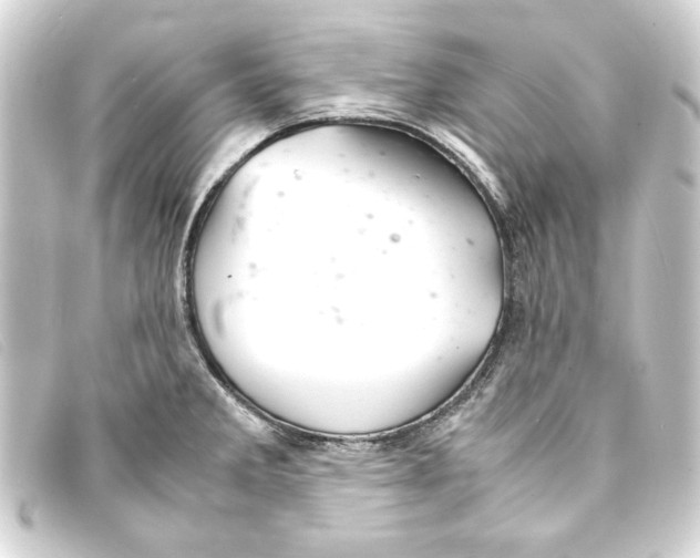 X0000093161285200710241013