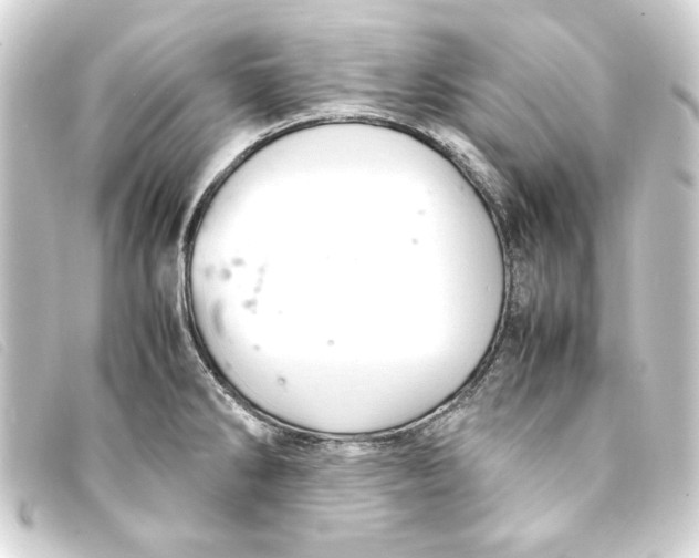 X0000093161286200710241013