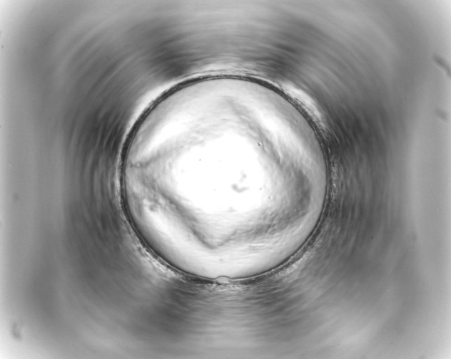 X0000093161288200710241013