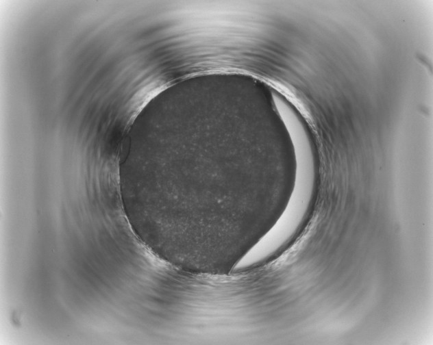 X0000093161289200710241013