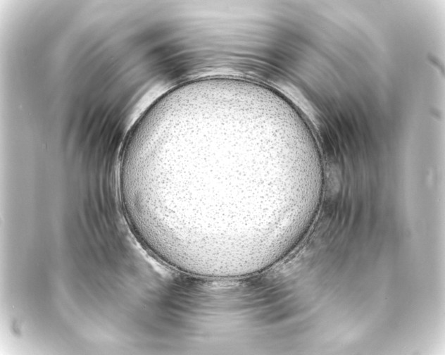 X0000093161290200710241013
