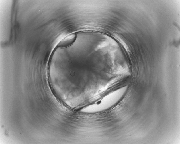 X0000093161291200710241013