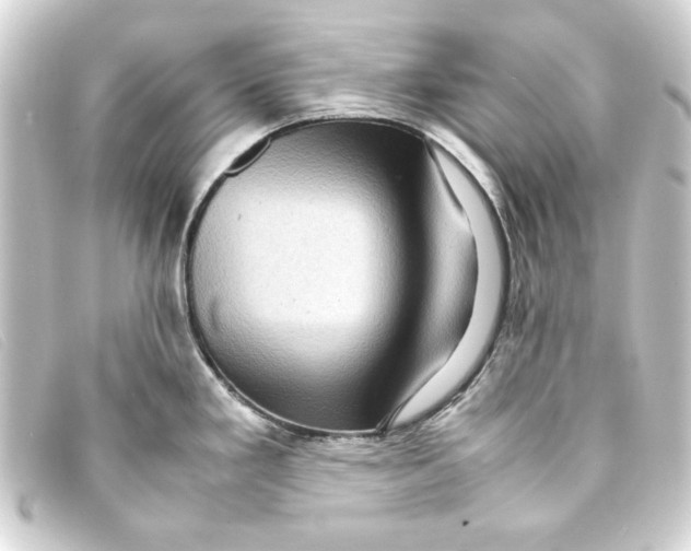 X0000093161293200710241013