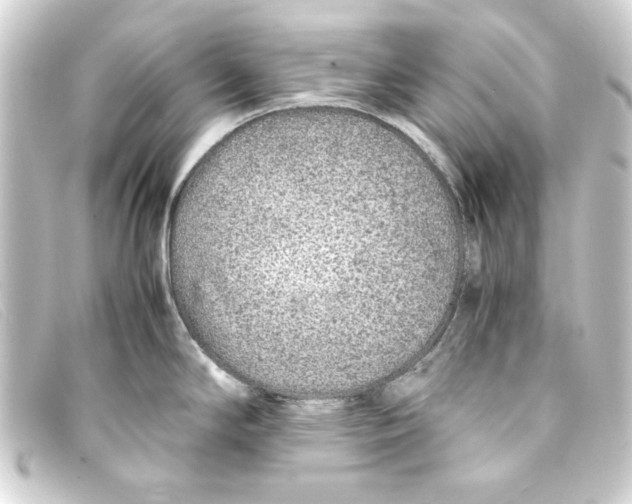 X0000093161294200710241013