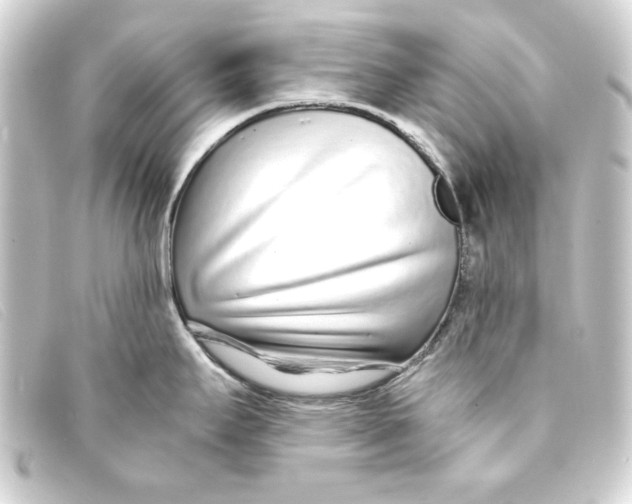 X0000093161295200710241013