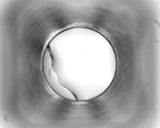X0000093161296200710241013
