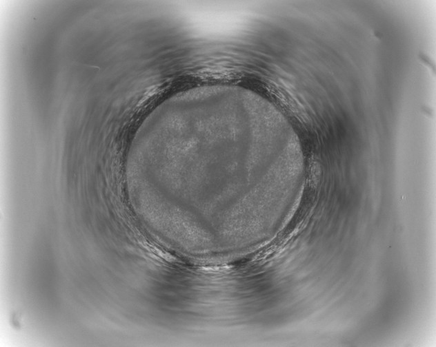 X0000093161297200710241012
