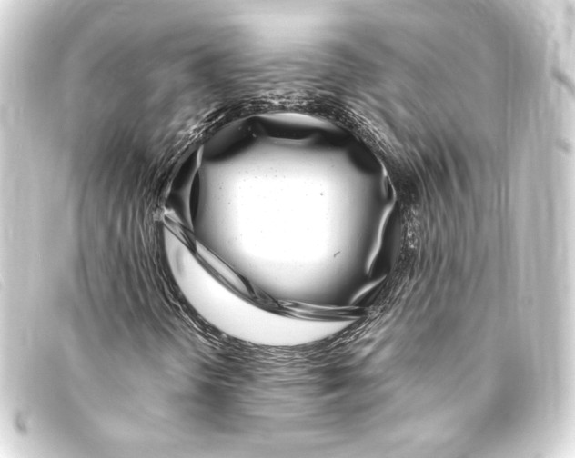 X0000093161298200710241012