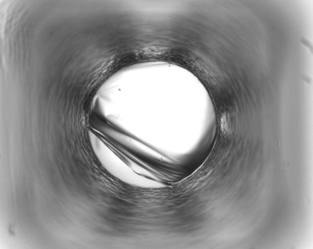 X0000093161299200710241012