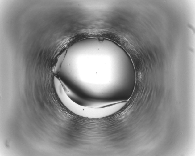 X0000093161300200710241012