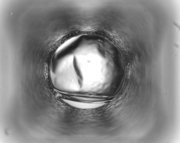 X0000093161301200710241012
