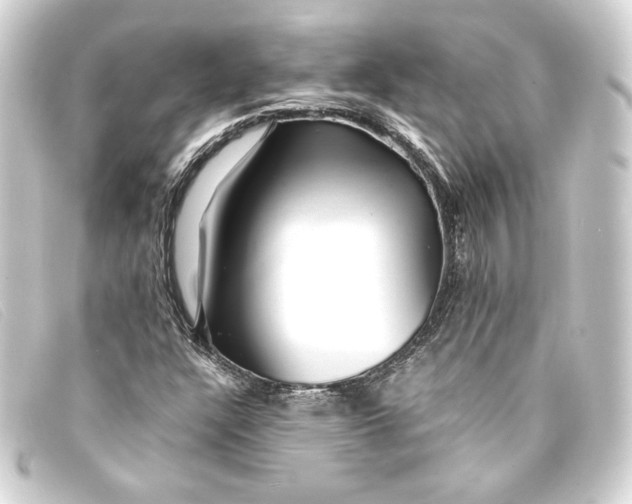 X0000093161304200710241012