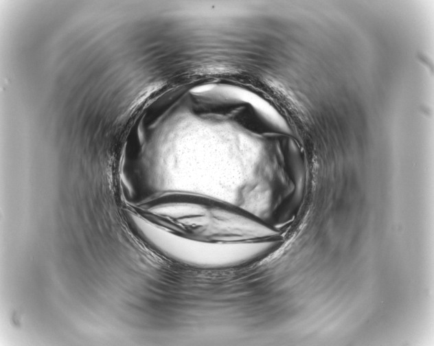 X0000093161305200710241012