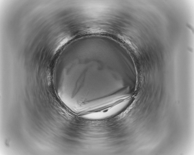 X0000093161306200710241012