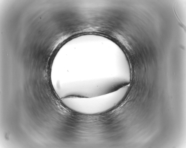 X0000093161308200710241012