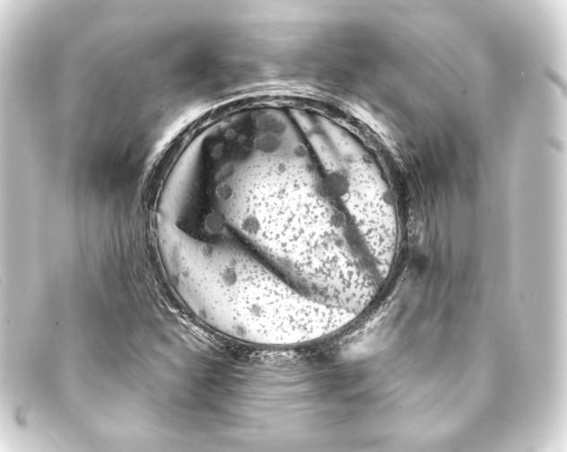 X0000093161310200710241012