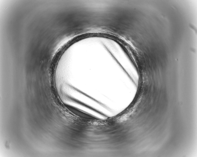 X0000093161311200710241012
