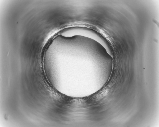 X0000093161312200710241012