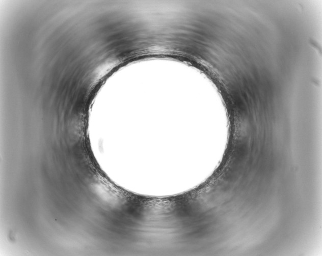X0000093161314200710241012