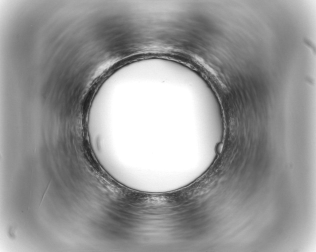 X0000093161315200710241012