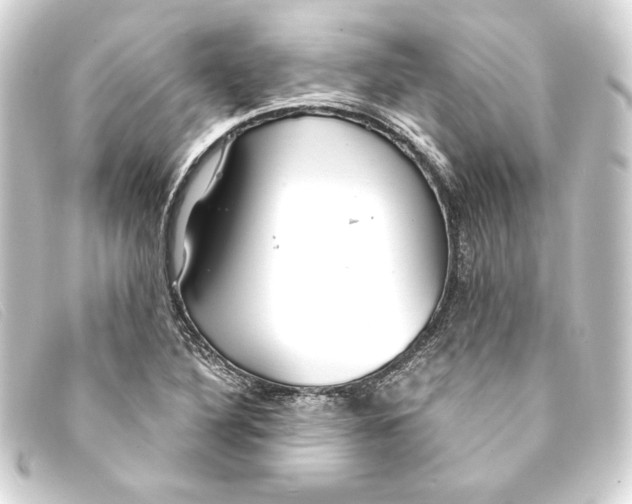 X0000093161316200710241012